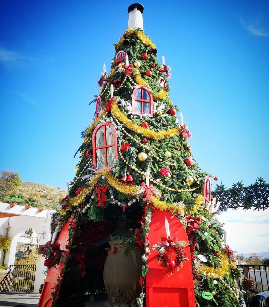 Navidad 5