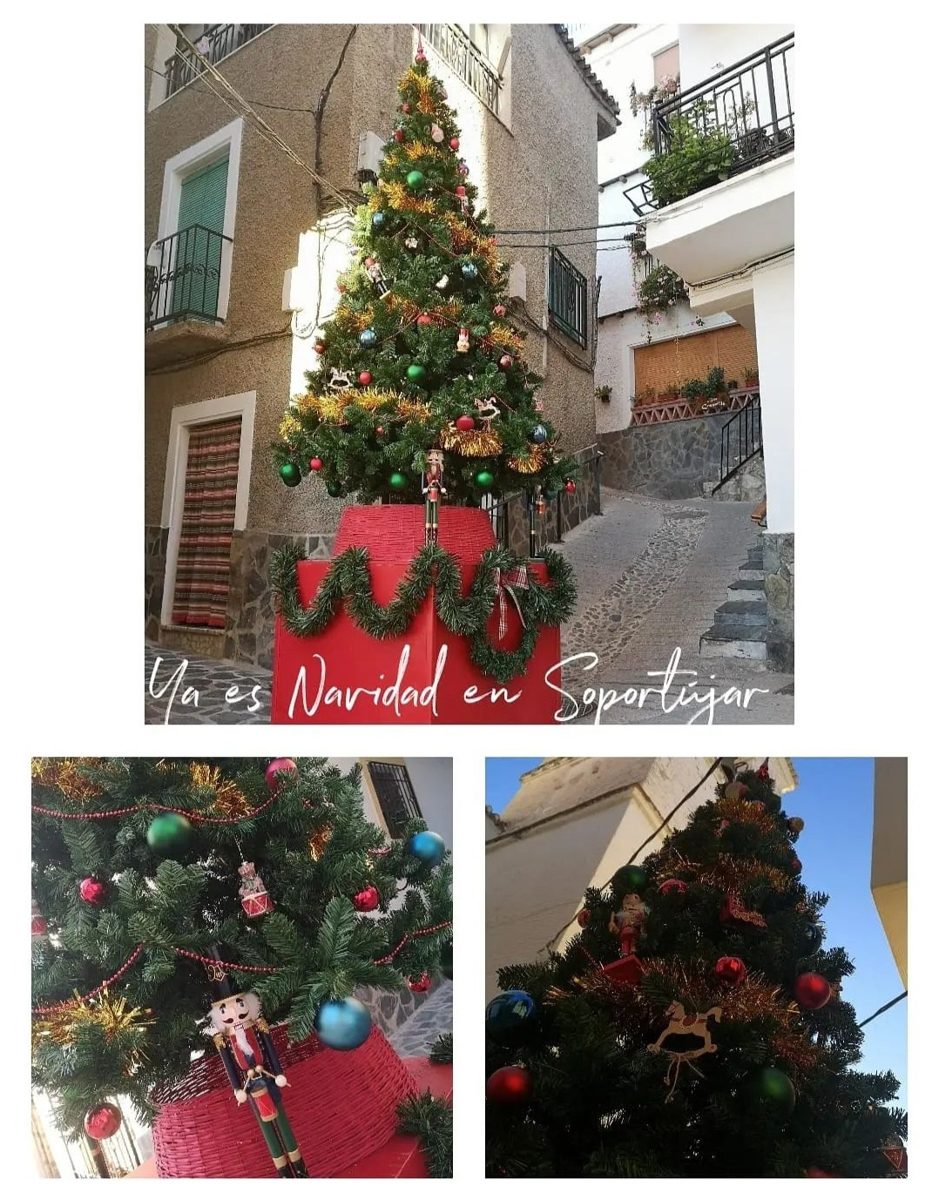 Navidad 8